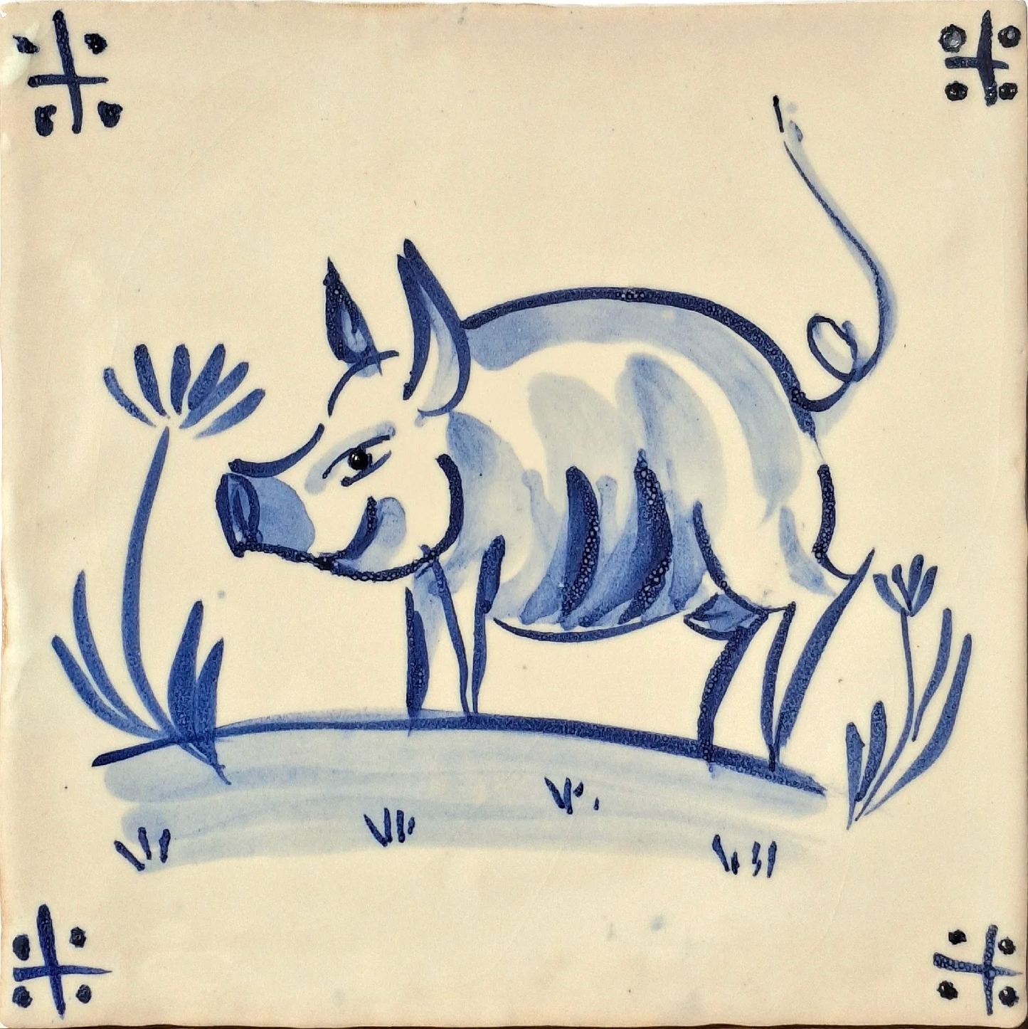 Pig