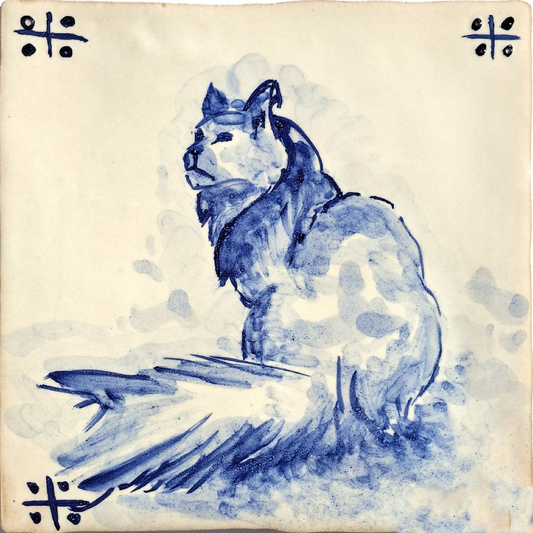 Persian cat - 74