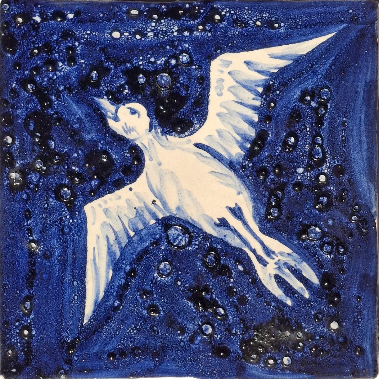 Seagul