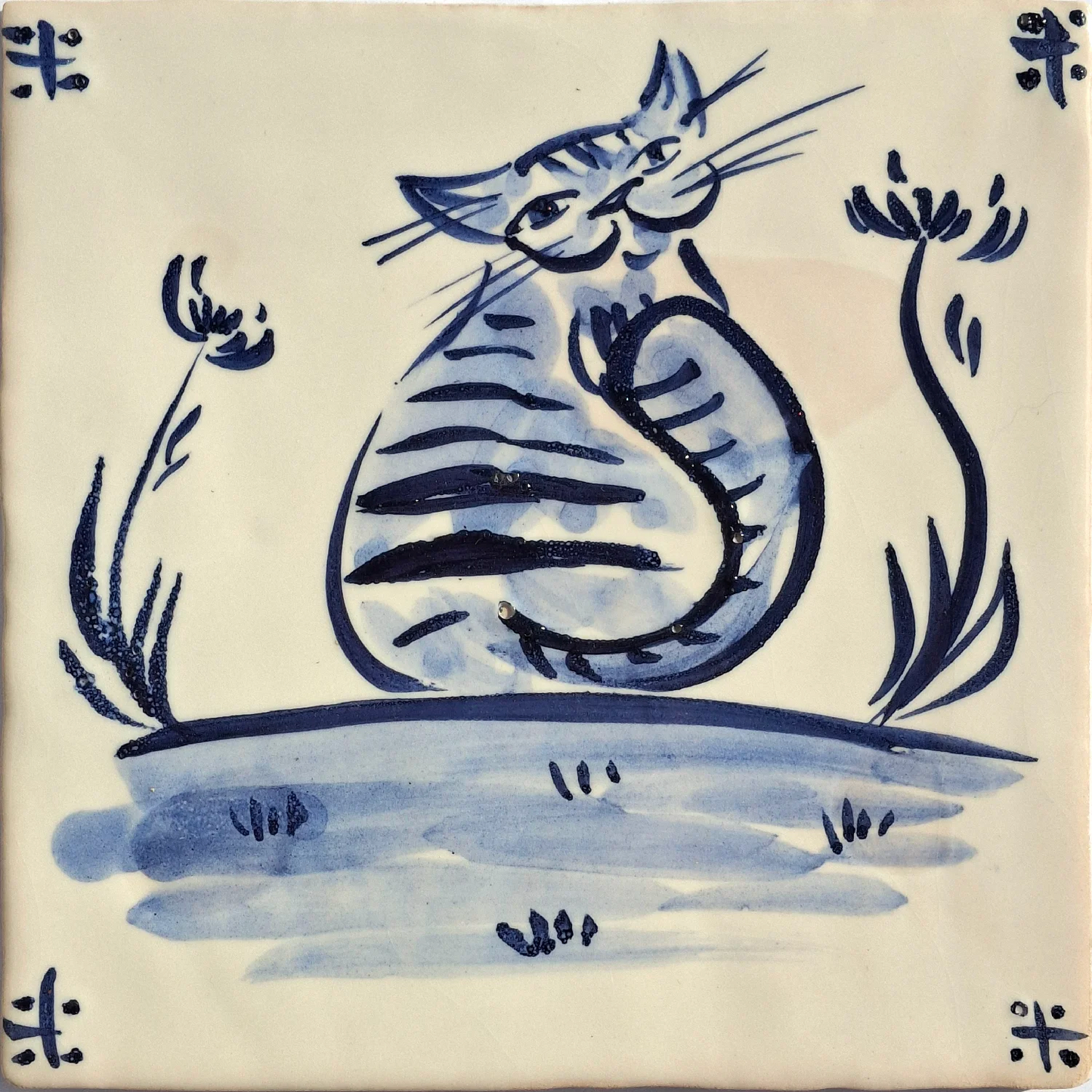 Cat smiling