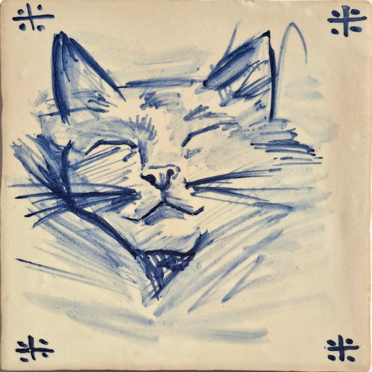 Cat's face