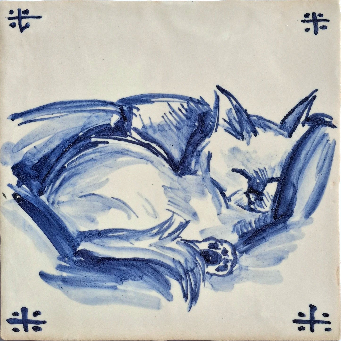 Cat sleeping