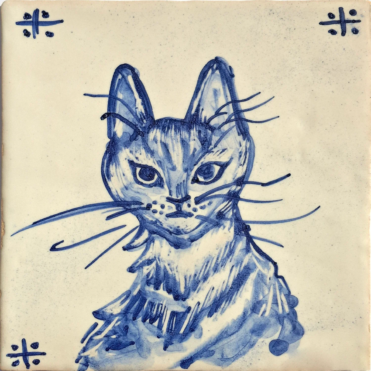 Serious cat