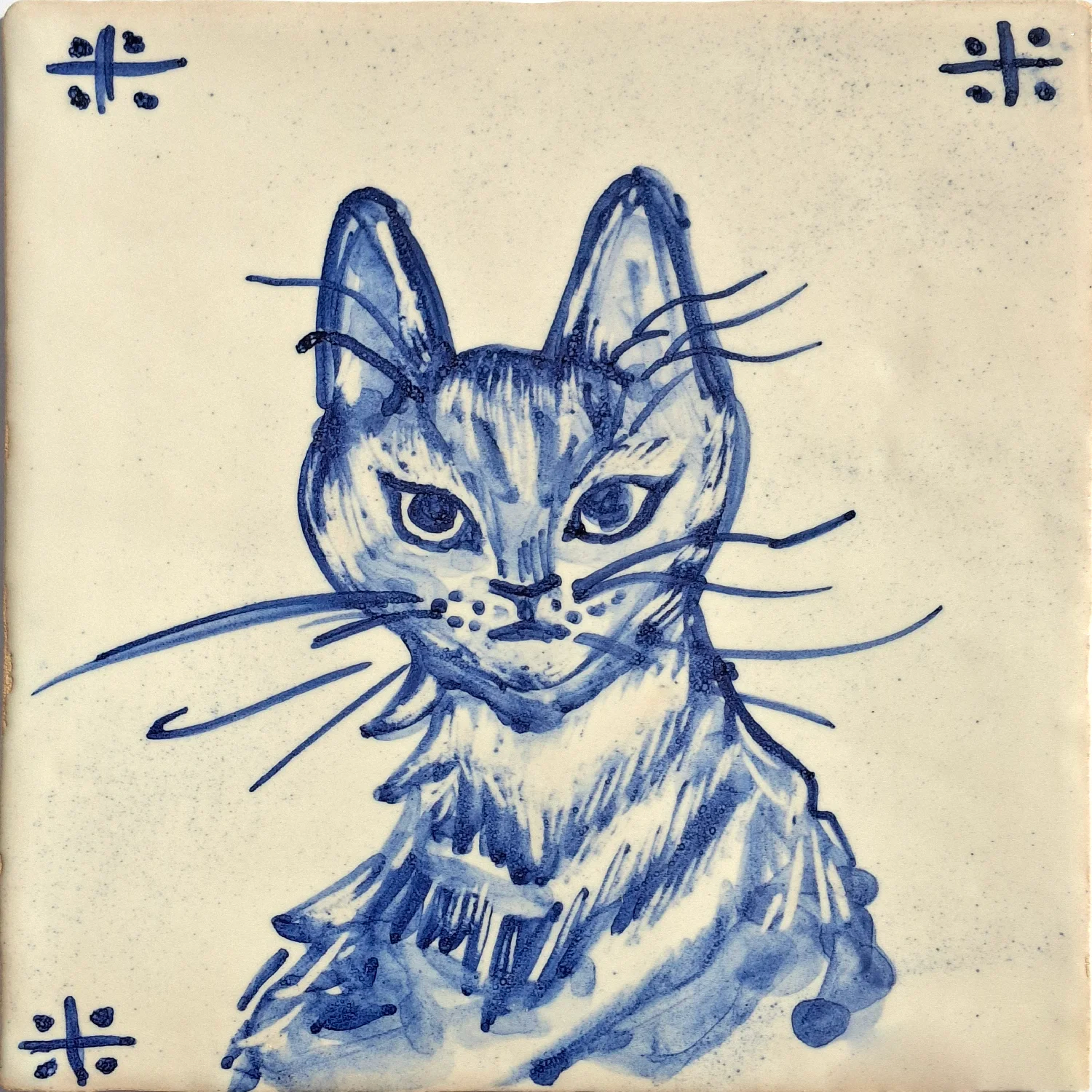 Serious cat