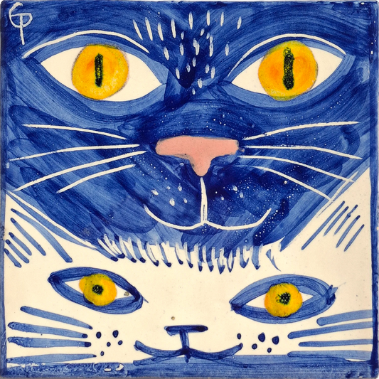 Two cats faces