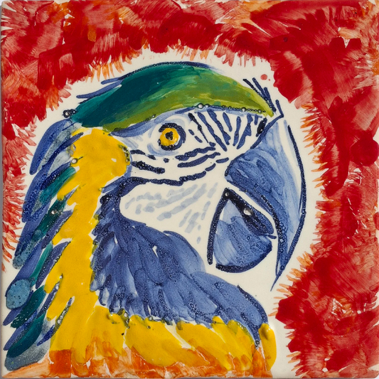 Colorful parrot illustration on a red and orange abstract background